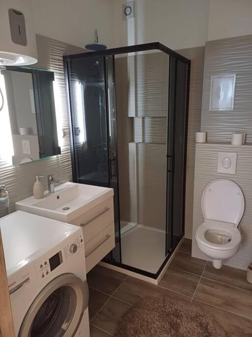 Central Vita Apartment Рієка Екстер'єр фото