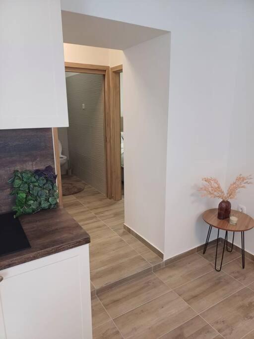 Central Vita Apartment Рієка Екстер'єр фото