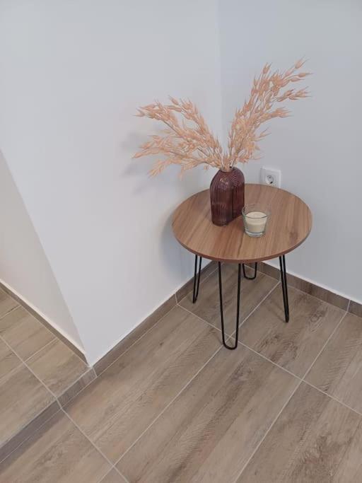 Central Vita Apartment Рієка Екстер'єр фото